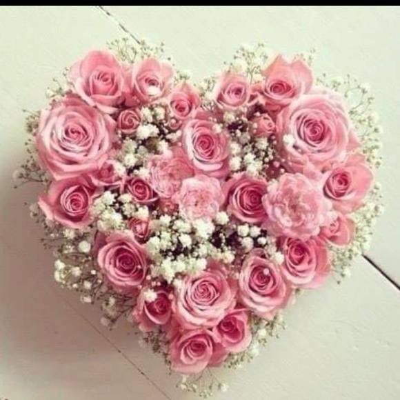 Meet your Posher, Stephanie - Picture 1 of 1